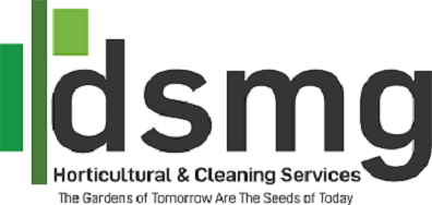 DSMG Logo png New